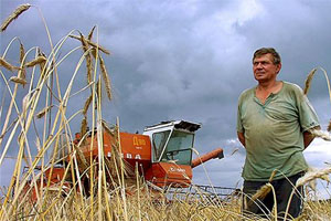 НСЗ покажет участникам Зернового форума Сибири портрет зернопроизводителя