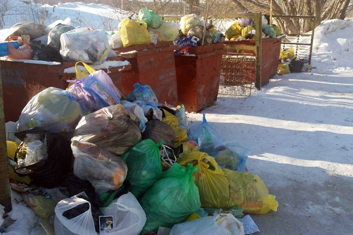 Новосибирцы заплатят за мусор с комиссией Новосибирцы заплатят за мусор с комиссией