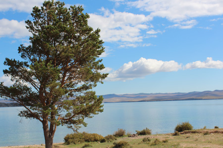 «Новая газета»: Стояние на реке Селенге