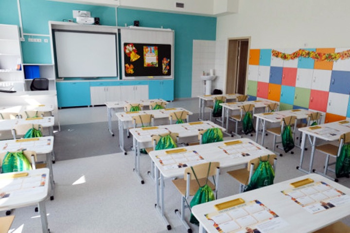 Учащихся 35 новосибирских школ перевели на дистант из-за инфекций