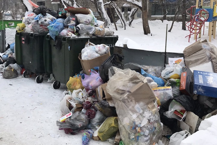 Налоговая подала на банкротство новосибирского перевозчика мусора Налоговая подала на банкротство новосибирского перевозчика мусора