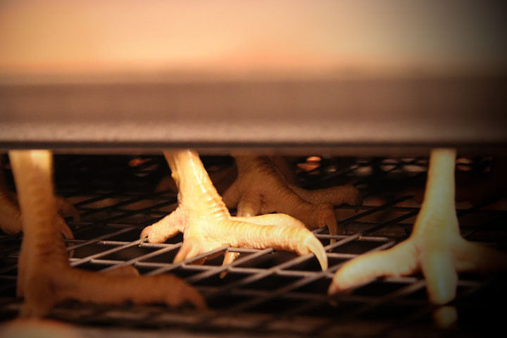 Рабочий утонул в курином помете на предприятии в Омске Рабочий утонул в курином помете на предприятии в Омске