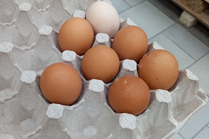 Яйца подорожали почти вдвое, минтай – в полтора раза: обзор цен в Новосибирске Яйца подорожали почти вдвое, минтай – в полтора раза: обзор цен в Новосибирске