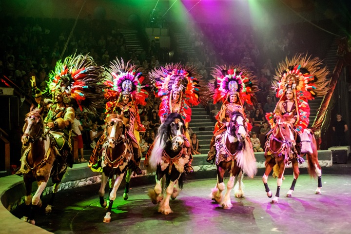 Новосибирская область добавит цирка в Рождественский фестиваль