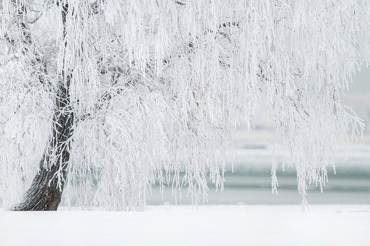 Годовалая девочка из иркутского села обморозила ноги Годовалая девочка из иркутского села обморозила ноги