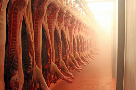 Власти остановили бюджетную поддержку свинокомплекса «Кудряшовский»