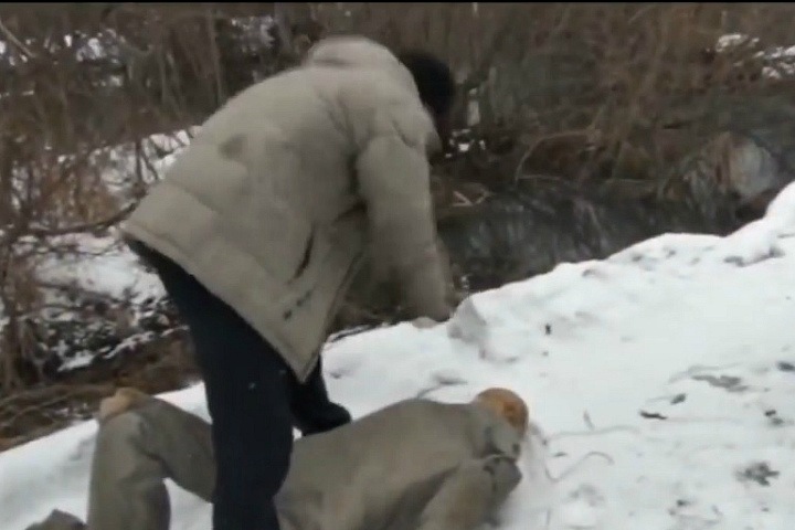 Иркутянин арестован за изнасилования и убийства женщин, пропавших без вести