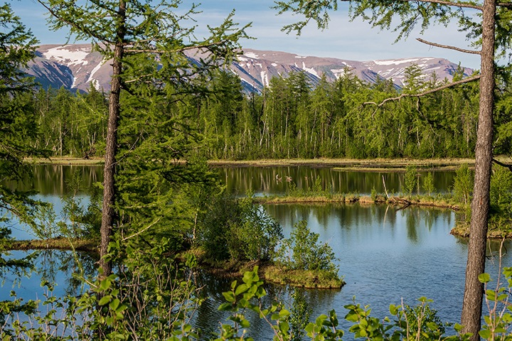 Норильская прокуратура возбудила дела в отношении допустившей разлив топлива компании Норильская прокуратура возбудила дела в отношении допустившей разлив топлива компании