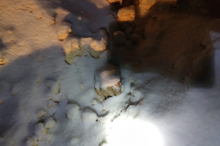 Житель Бурятии убил напарника и закопал тело в опилках