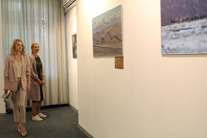 Краснокнижных животных Алтая показали в новосибирском музее Краснокнижных животных Алтая показали в новосибирском музее