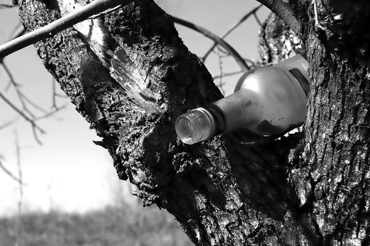 Пенсионерка забила насмерть мужа бутылкой из-под водки в Новосибирской области Пенсионерка забила насмерть мужа бутылкой из-под водки в Новосибирской области