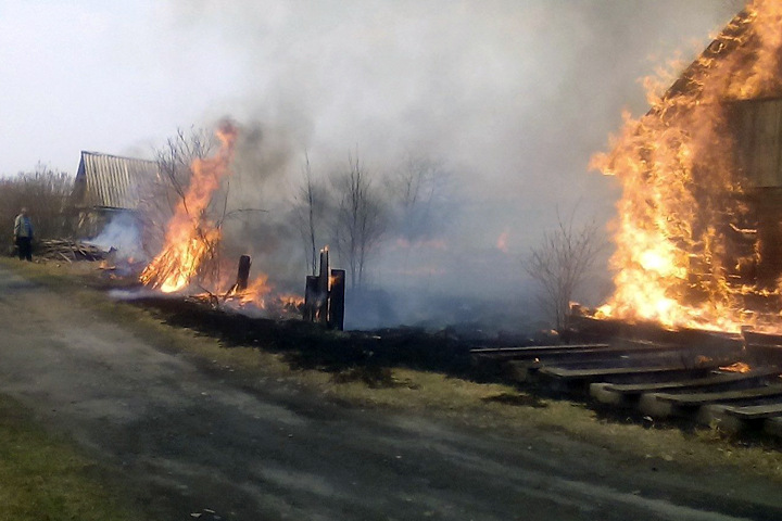 Путин назвал борьбу с пожарами «проверкой на дееспособность» сибирских губернаторов