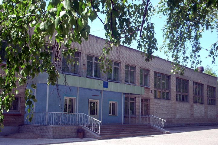 Новосибирских школьников готовы перевести на дистанционное образование по заявлению