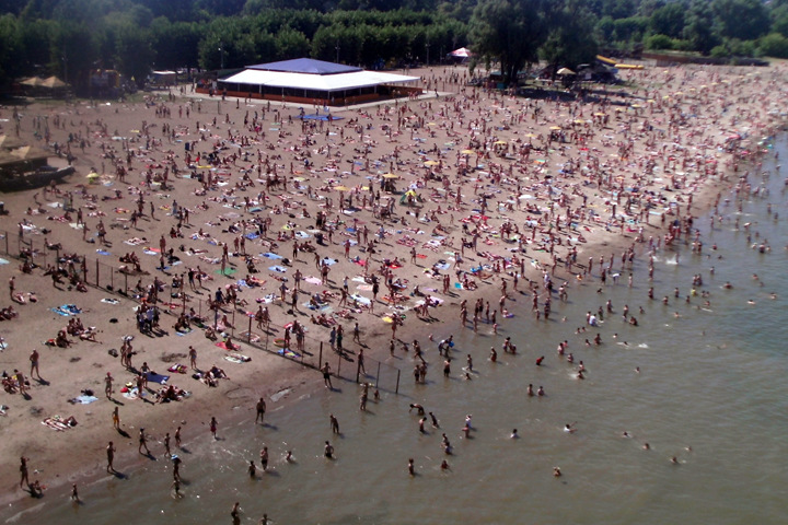 Связанные с Басалаевым компании просят укрепить новосибирский пляж