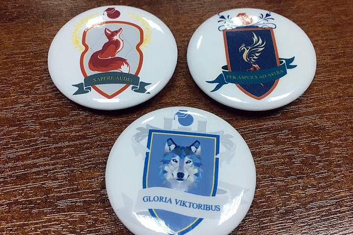 Красноярский лицей поделили на факультеты, как в Хогвартсе Красноярский лицей поделили на факультеты, как в Хогвартсе