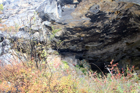 Изображение винторогой антилопы каменного века обнаружили в Горном Алтае Изображение винторогой антилопы каменного века обнаружили в Горном Алтае