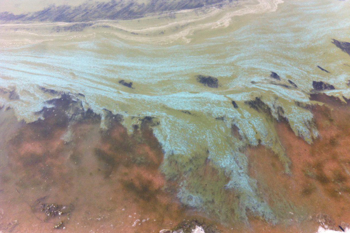 Пятно на Байкале не имеет химической природы