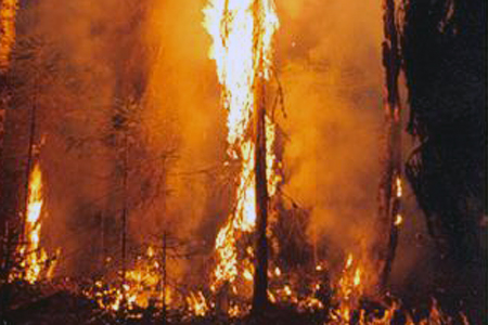 Бурятский сенатор потребовал от Москвы вернуть долг за тушение пожаров Бурятский сенатор потребовал от Москвы вернуть долг за тушение пожаров