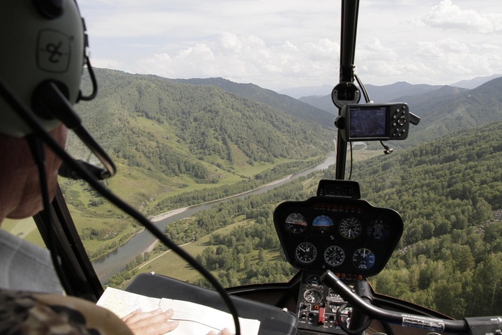 Замминистра природных ресурсов Алтайского края обвиняется в коррупции