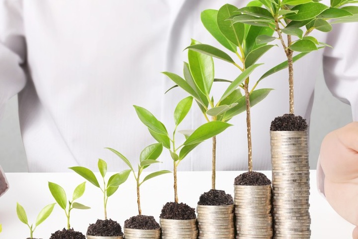 Где взять начинающему бизнесмену деньги на стартап