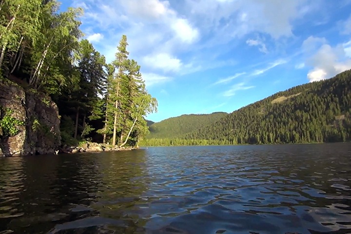 Грязные реки в Сибири, уничтожение деревьев в Новосибирске. Числа недели Грязные реки в Сибири, уничтожение деревьев в Новосибирске. Числа недели