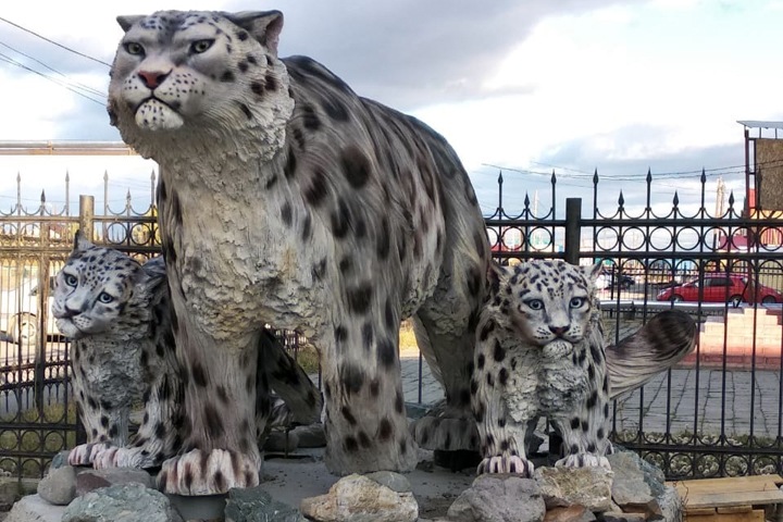 Памятник убитым снежным барсам поставили на Алтае Памятник убитым снежным барсам поставили на Алтае