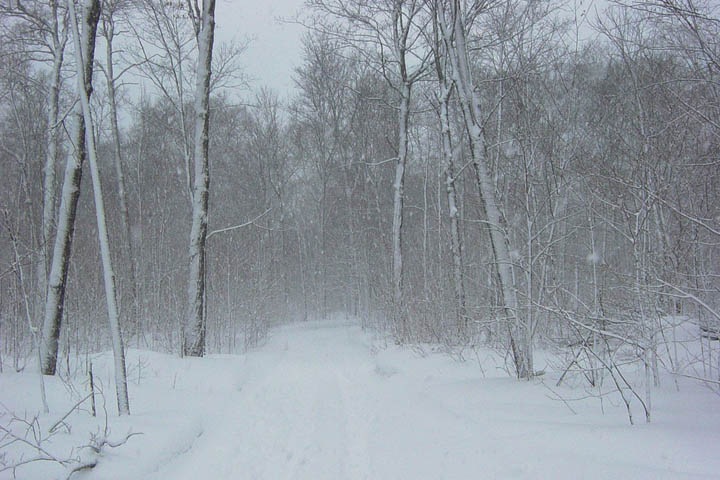 Экстренное предупреждение передано в Западной Сибири: метели и похолодание Экстренное предупреждение передано в Западной Сибири: метели и похолодание