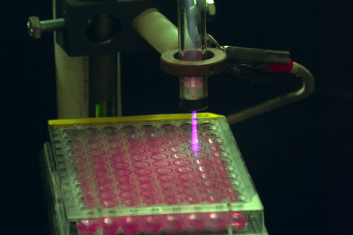 Сибирские ученые нашли новый способ лечения рака