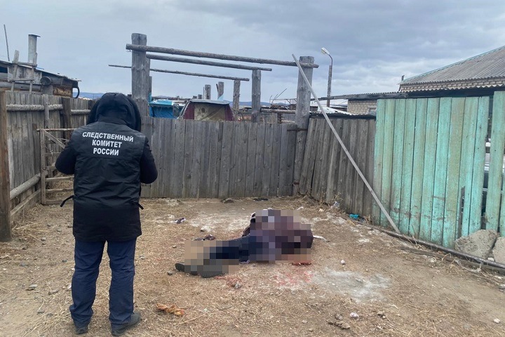 Домашние собаки убили женщину в Забайкалье