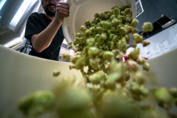 Российские ученые разработали метод получения бензина из отходов Российские ученые разработали метод получения бензина из отходов