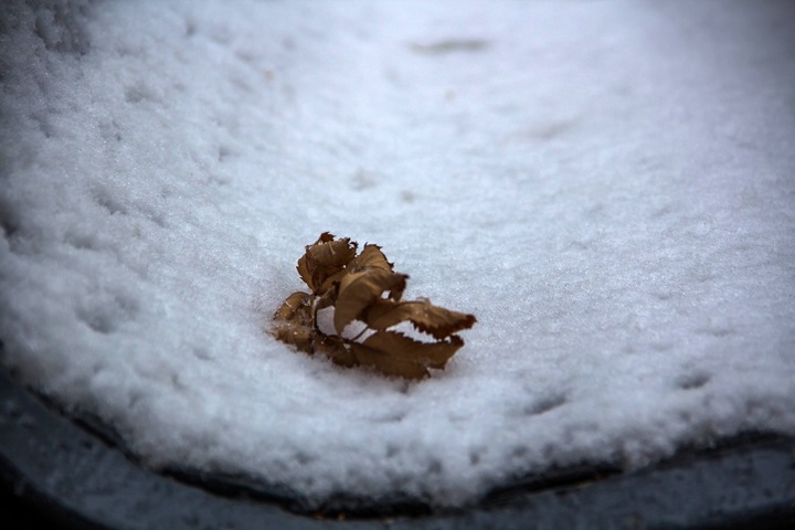 Прокуратура начала проверку после выпадения снега в Новосибирске Прокуратура начала проверку после выпадения снега в Новосибирске