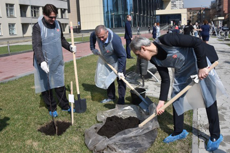 Музыкальную аллею высадили в день закрытия фестиваля Репина в Новосибирске