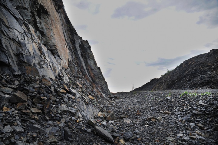 Марганцевое безмолвие Марганцевое безмолвие