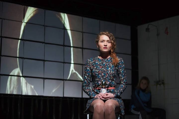 Два десятка камерных и моноспектаклей покажут в Новосибирске