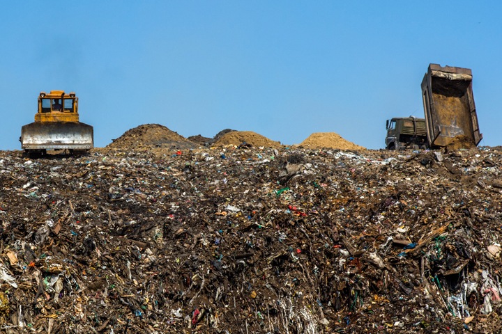 Новосибирское правительство пригласило жителей обсудить новую систему вывоза мусора