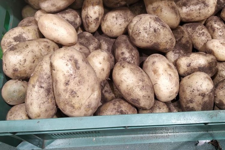 Картофель и яблоки подорожали почти в полтора раза: мониторинг цен в магазинах Новосибирска Картофель и яблоки подорожали почти в полтора раза: мониторинг цен в магазинах Новосибирска