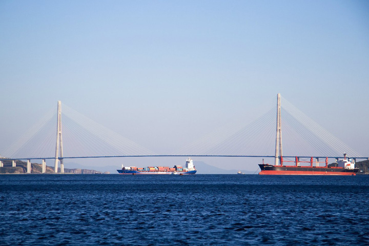 СКР уличил директора «Мостовика» в махинациях с налогами при строительстве моста на остров Русский СКР уличил директора «Мостовика» в махинациях с налогами при строительстве моста на остров Русский