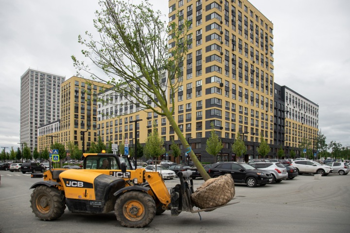 «Они хорошо приживаются и выглядят, как близнецы»: «Брусника» привезла из Европы сотни тысяч растений «Они хорошо приживаются и выглядят, как близнецы»: «Брусника» привезла из Европы сотни тысяч растений