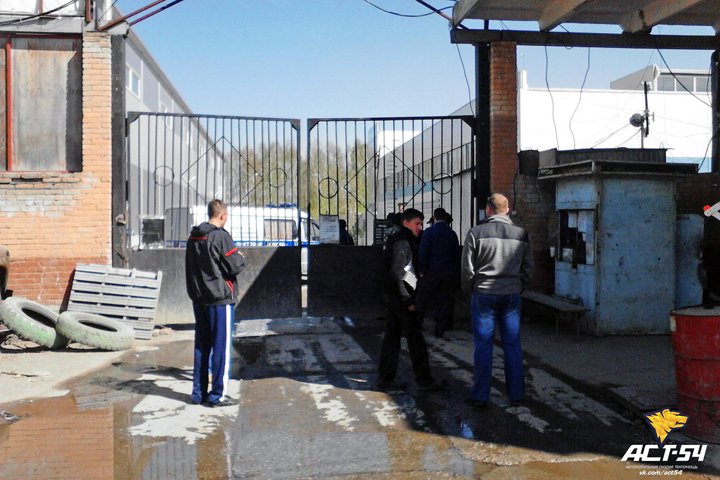 «Деловые линии»: действия новосибирской полиции на ВИНАПе не связаны с компанией