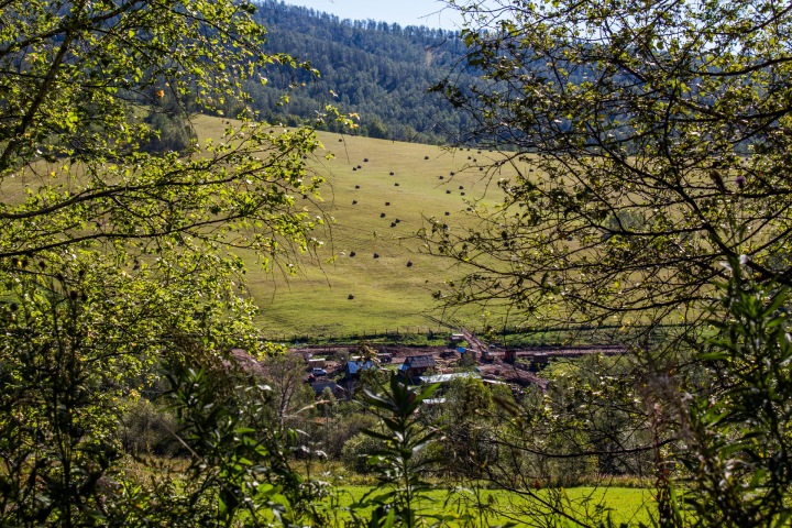 Жители Горно-Алтайска попросили Путина остановить махинации с республиканской землей Жители Горно-Алтайска попросили Путина остановить махинации с республиканской землей