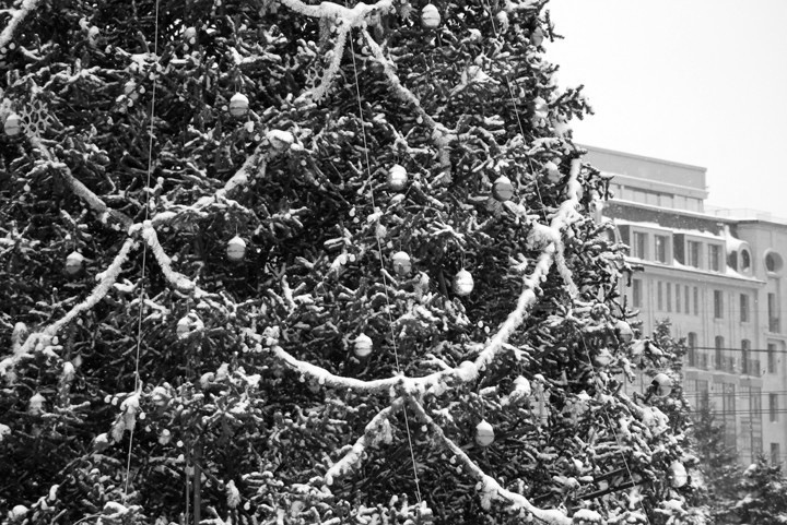 Травников приказал украсить здания органов власти к Новому году