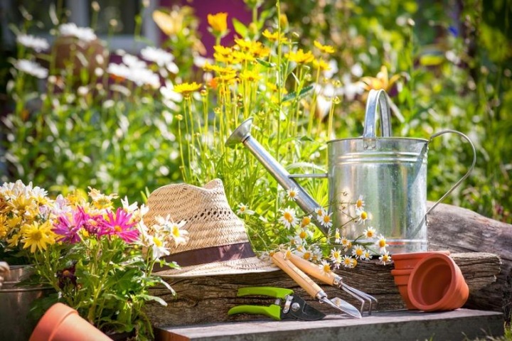 Власти Новосибирской области поддержали 236 садоводческих объединений Власти Новосибирской области поддержали 236 садоводческих объединений