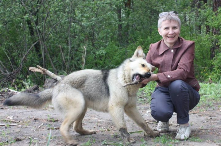 Пресс-секретаря алтайского минприроды увольняют за критический репост Пресс-секретаря алтайского минприроды увольняют за критический репост