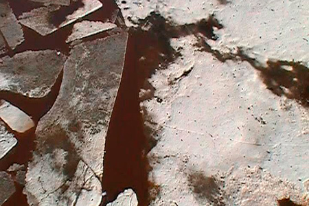 Останки пассажиров Ми-8, разбившегося в Иркутской области, направлены на экспертизу для идентификации