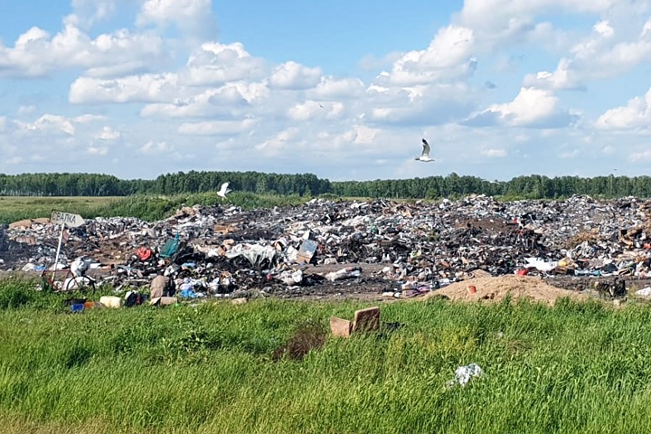 Мусорную реформу тормозят в Новосибирской области Мусорную реформу тормозят в Новосибирской области