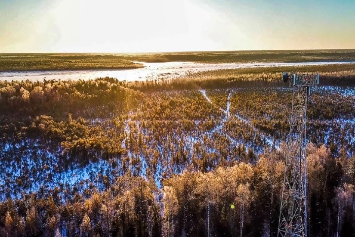 Счетная палата: данные чиновников о лесах Сибири давно устарели