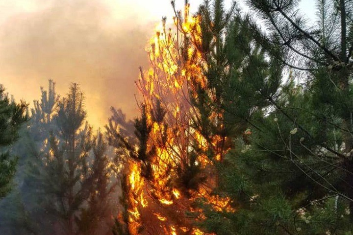 Турмаршруты закрыли на Байкале из-за пожаров