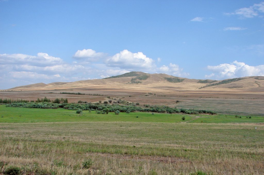 Забайкальцы планируют провести митинг против передачи земель иностранцам