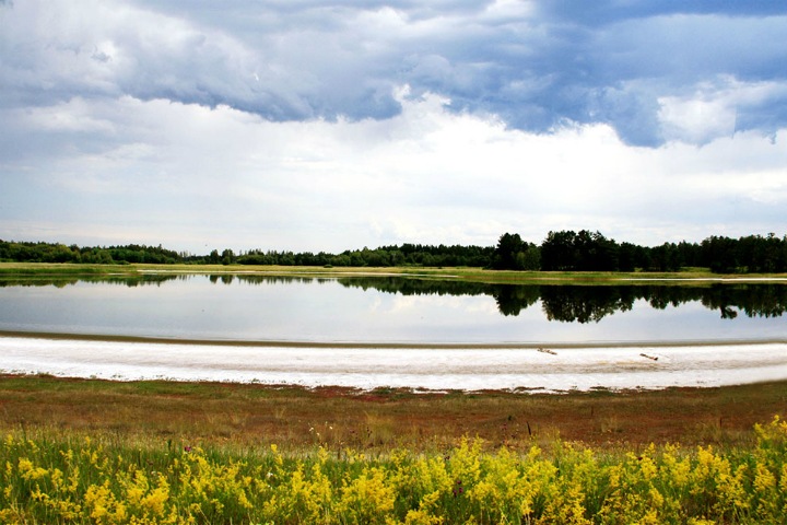 Ученые нашли неизвестные бактерии в гиперсоленом озере на Алтае. Они способны запасать солнечную энергию