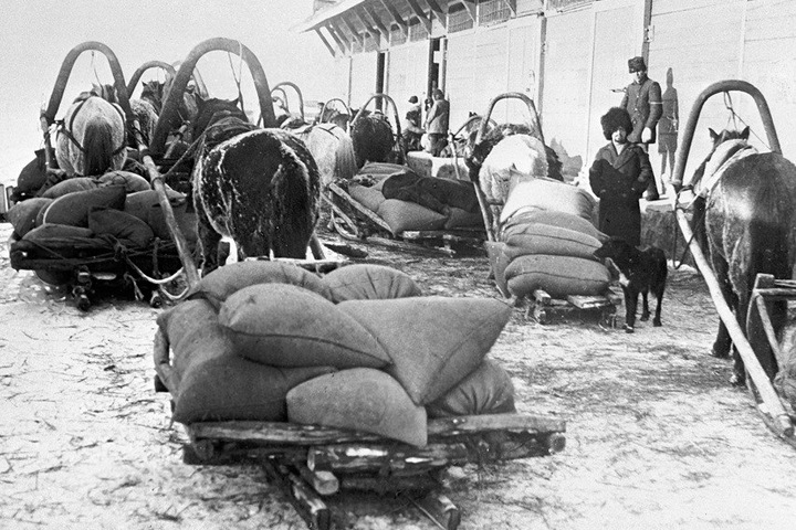 Колыванский мятеж и война с Наполеоном: новосибирские школьники написали историю области